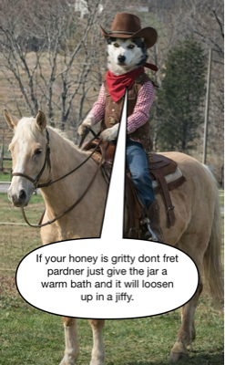 Michael on horseback: if your honey is gritty, don’t fret, pardner — just give the jar a warm bath and it will loosen up in a jiffy